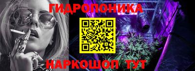 стафф Дубна