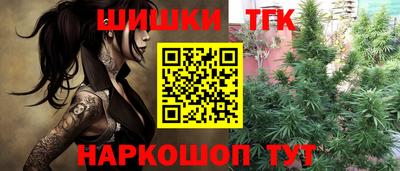 стафф Дубна