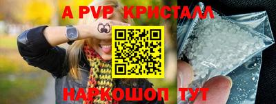 стафф Дубна